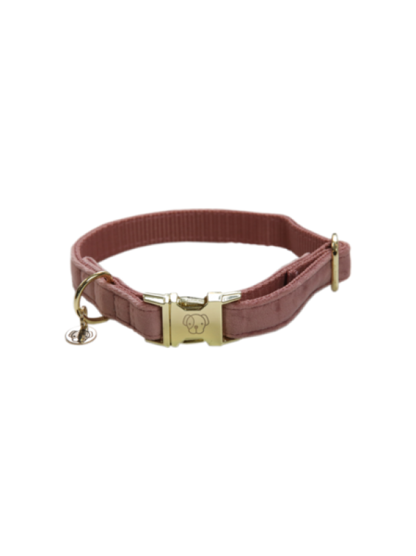 Collare Dog Collar Velvet KENTUCKY