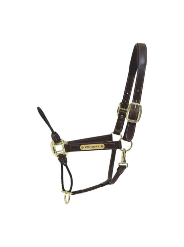 Capezza Leather Rope Halter KENTUCKY