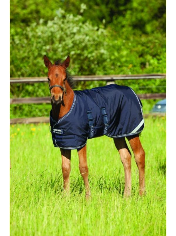 Coperta Paddock Foal Turnout Rug Medium AMIGO