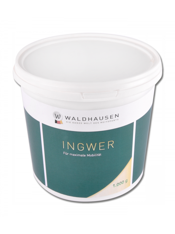 Zenzero - Antinfiammatorio Naturale 1kg WALDHAUSEN