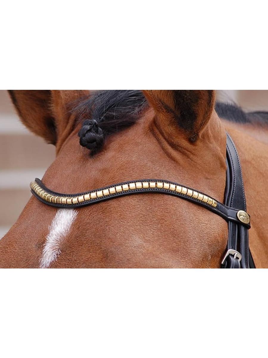 Frontalino Clincher Ottone Dressage Collection DYON