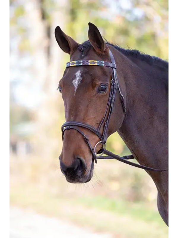 Frontalino Bandiere Polo