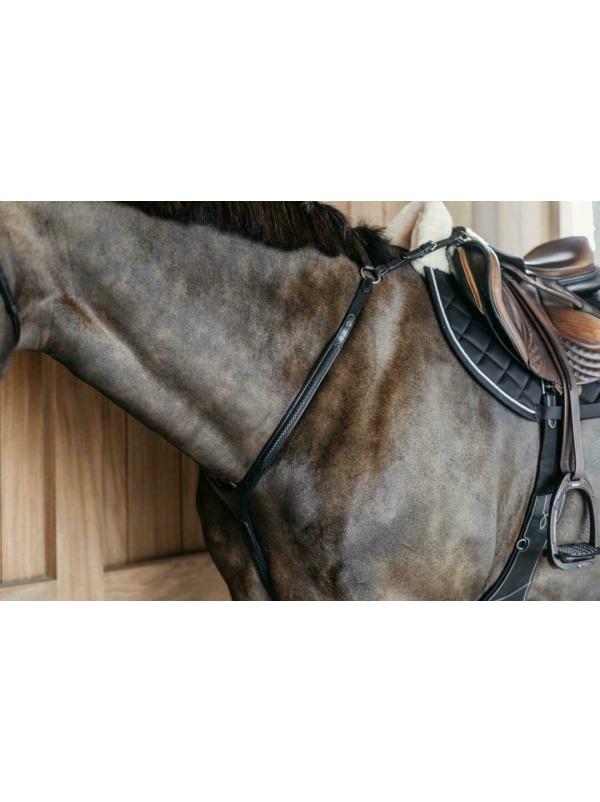 Selle da equitazione e accessori cavallo - Selleria Equipe Srl