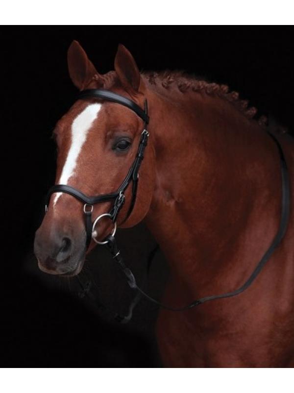 RAMBO Micklem Competition Bridle